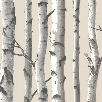Brewster Wallcovering TLL21499
