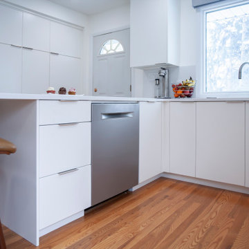 Modern Minimalist White Kitchen