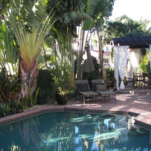 Pool Landscape