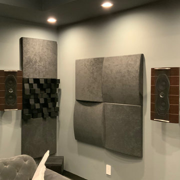 Professional Home Cinema