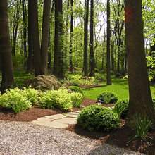 landscaping 3