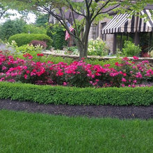 Rose Garden