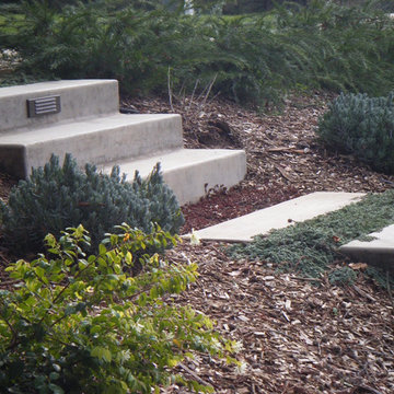 Xeriscaping and Misc.