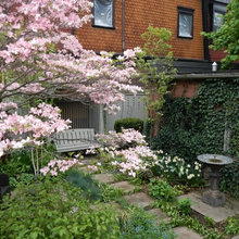 Landscape Ideas