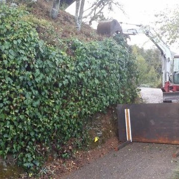 Before Photo - Vertical Garden