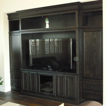 Entertainment Systems