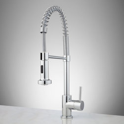Portnoy Kitchen Faucet with Spring Spout - Kitchen Faucets