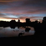 Roseline Lee's photo