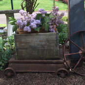 Janis Sheetz's photo