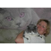 Foto von Polikatz