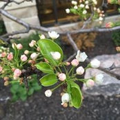 Yeming Ma's photo