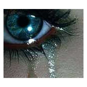 Janet Morrison-Strout's photo