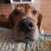 Mala Maja's photo