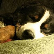 Pamela & Barry Solomon's photo