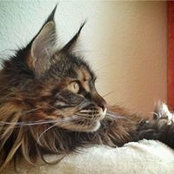 Petra's photo