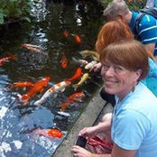 Debbie Palmer Scholl's photo