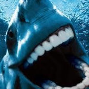 James Cameron's photo