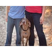 Kristy Cates's photo