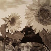 Teagan Thompson's photo