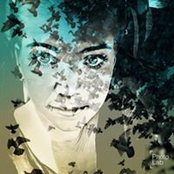 Kelly O'Dea's photo