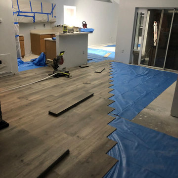 Home Remodel / Ceiling Flooring Painting Fixtures