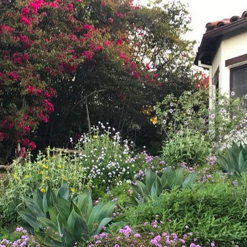Los Feliz Mediterranean