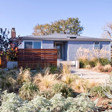 Exterior Ideas
