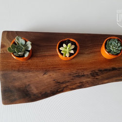 Live Edge Succulent Planters - Plate Stands And Hangers