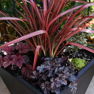 Potted Designs
