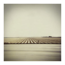 Photography - Products