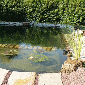Bassin de baignade naturelle