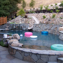 Pool And Landscaping