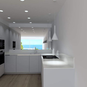 Rénovation cuisine ouverte • Nice