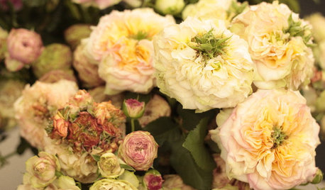 Comment composer un jardin victorien ?