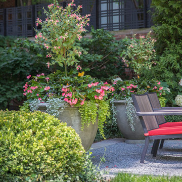 Summer Flower Containers & Annual Display