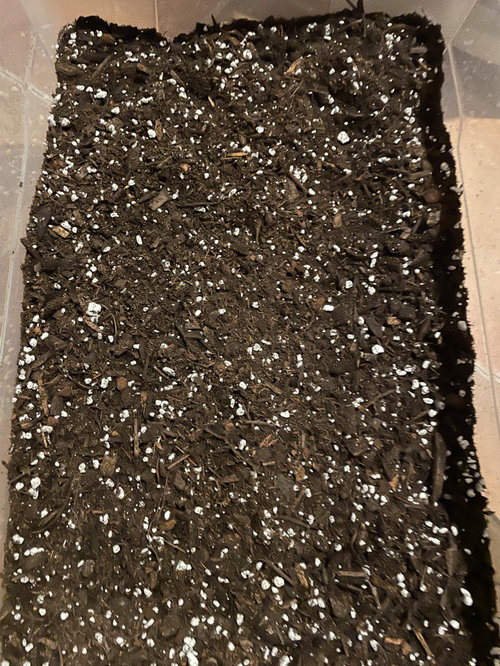 Found a 100 Pine Bark Soil Conditioner in North NJ