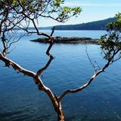 Tana Dalman's photo