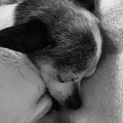 Foto de Verena Earle
