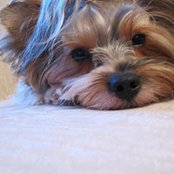 Elaine Bitting's photo