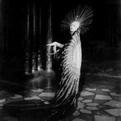 Elizabeth Elson's photo