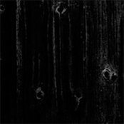 Lucas Ross's photo
