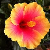 Rebecca de Winter's photo