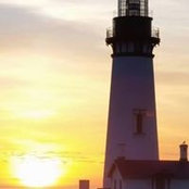 Carole Wilcox's photo