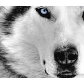 Andrew Rakitskiy's photo