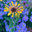 LCM Landscape Design