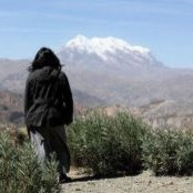 Sandra Guerra's photo