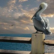 Monica Klein's photo