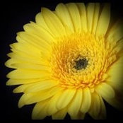 Kimberly Martin's photo