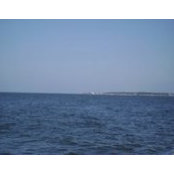 Amy Iker's photo