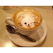 N Khanh Van's photo